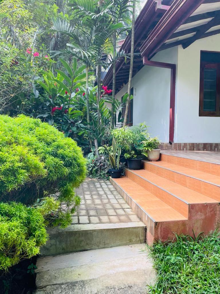 Chami'S Home Stay Mirissa Luaran gambar