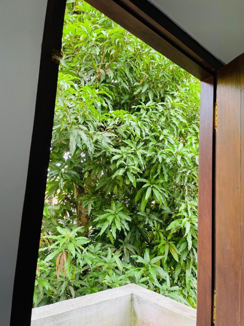 Chami'S Home Stay Mirissa Luaran gambar