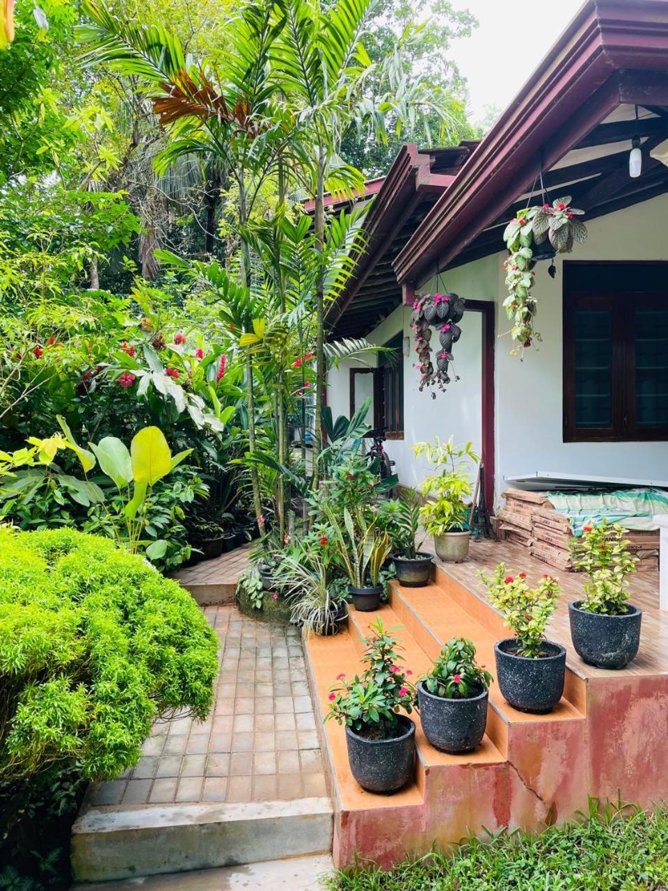 Chami'S Home Stay Mirissa Luaran gambar